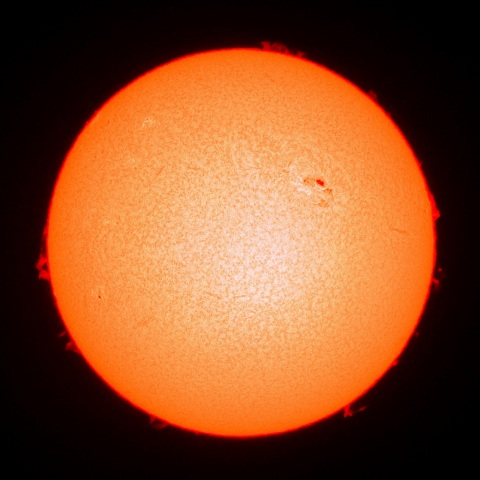 ２月２６日の太陽面（Ｈα像）