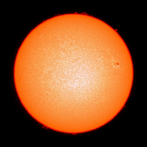 ２月２８日の太陽面（Ｈα像）