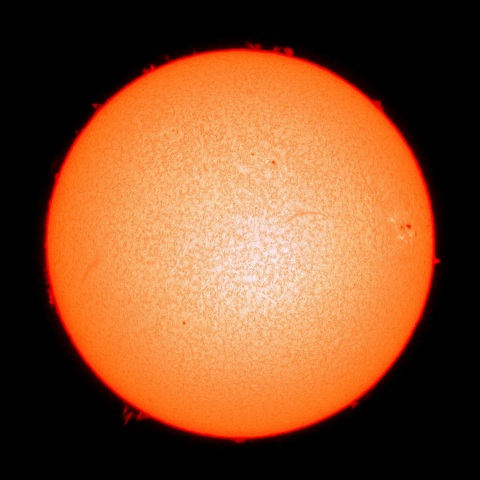 ２月２９日の太陽面（Ｈα像）