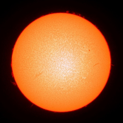 ３月２日の太陽面（Ｈα像）