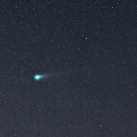 ポン･ブルックス彗星（12P）