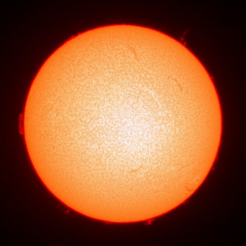 ３月１３日の太陽面（Ｈα像）