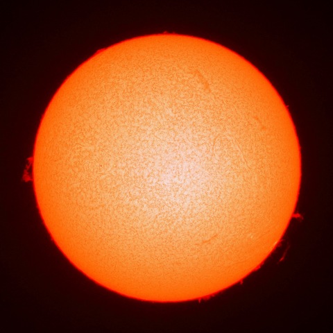 ３月１４日の太陽面（Ｈα像）