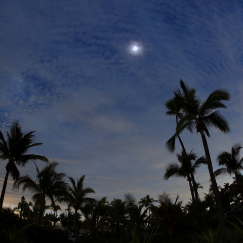 メキシコ皆既日食