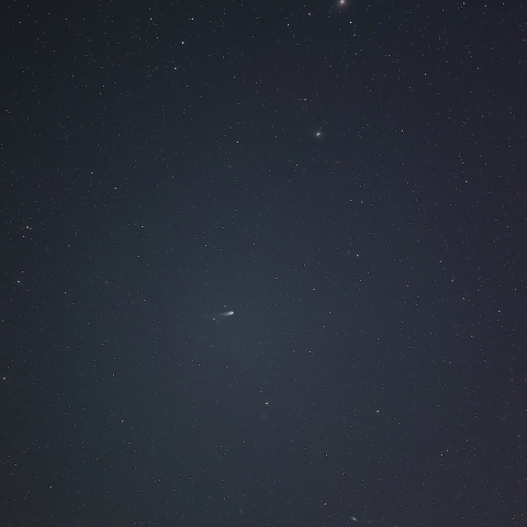 おとめ座の銀河の中をゆく紫金山アトラス彗星