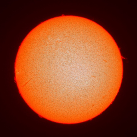 ５月２９日の太陽面（Ｈα像）