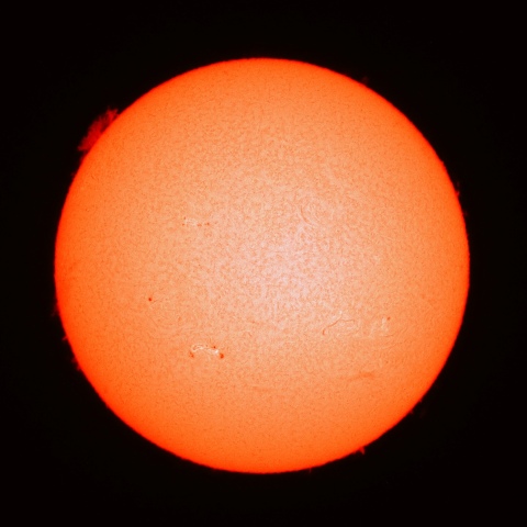 ６月１６日の太陽面（Ｈα像）