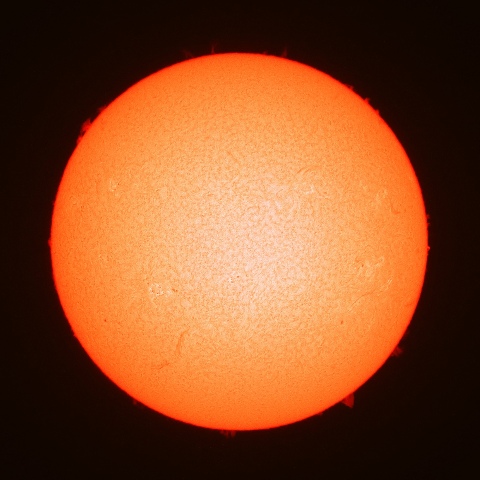 ７月１８日の太陽面（Ｈα像）