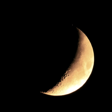 スピカの接食１