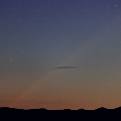 紫金山アトラス彗星①