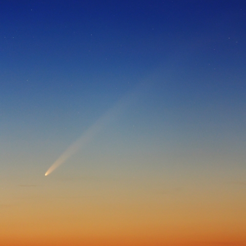 紫金山アトラス彗星③