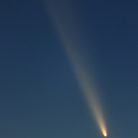 紫金山アトラス彗星のアンチテイル①