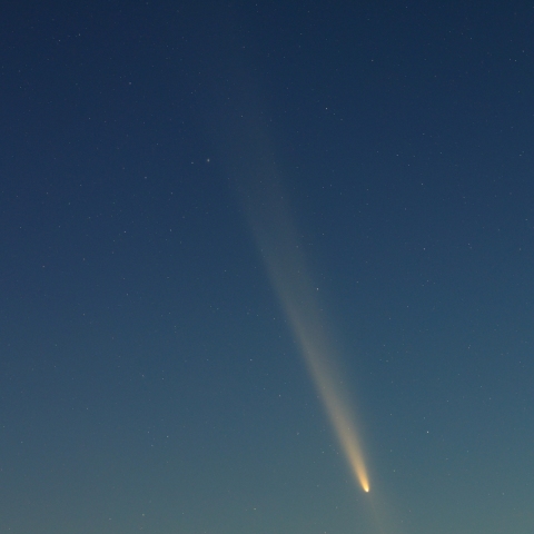 紫金山アトラス彗星のアンチテイル②