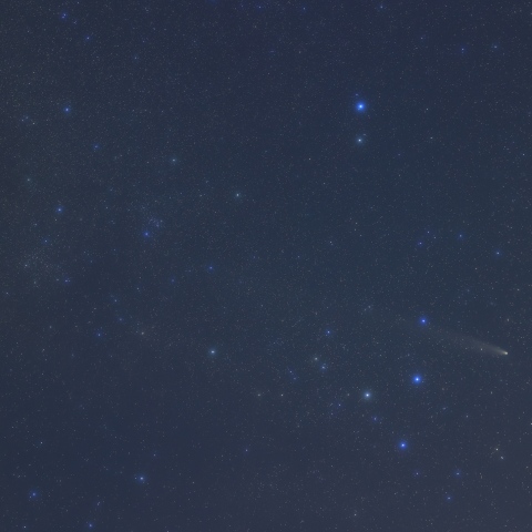 ポニアトフスキのおうし座をゆく紫金山アトラス彗星