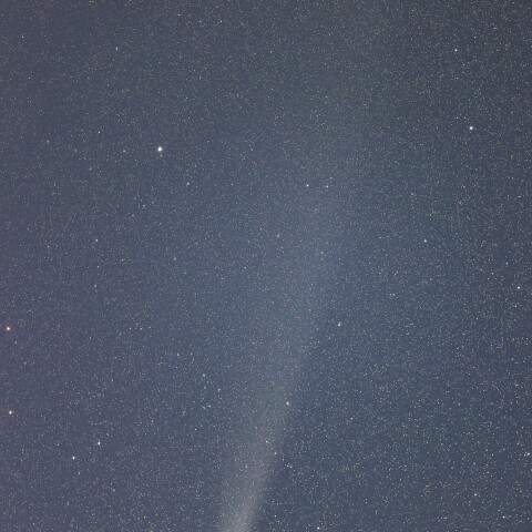 １１月３日の紫金山アトラス彗星