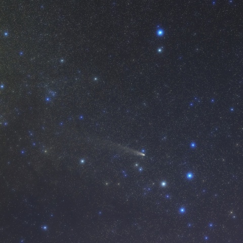 ポニアトフスキの牡牛座をゆく紫金山アトラス彗星