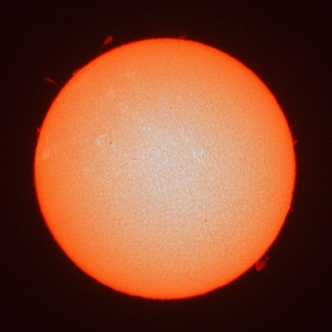 ３月14日の太陽面（Ｈα像）