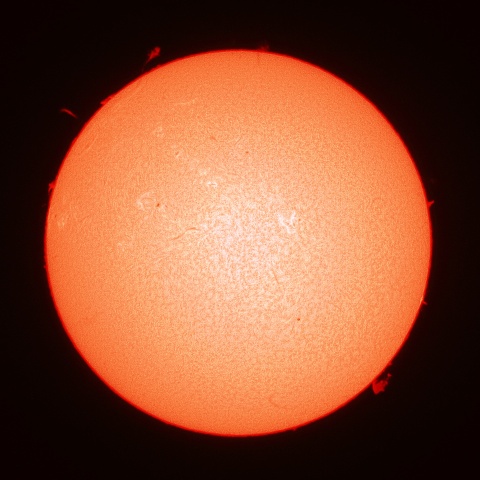 ３月１４日の太陽面（Ｈα像）