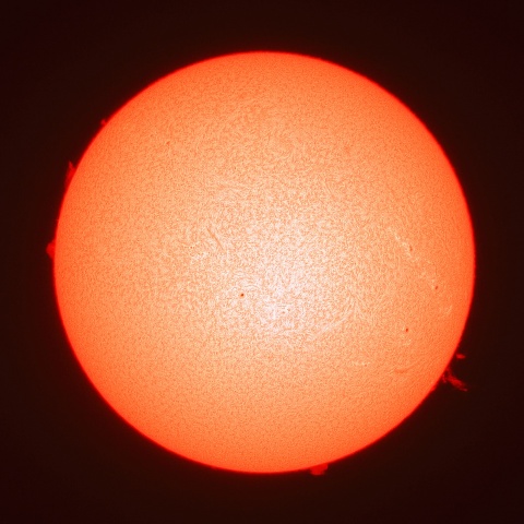 ３月２０日の太陽面（Ｈα像）