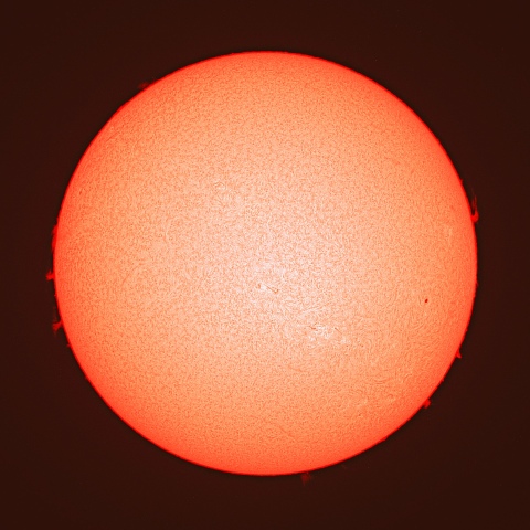 ４月７日の太陽面（Ｈα像）