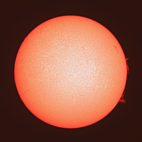 ４月２４日の太陽面（Ｈα像）