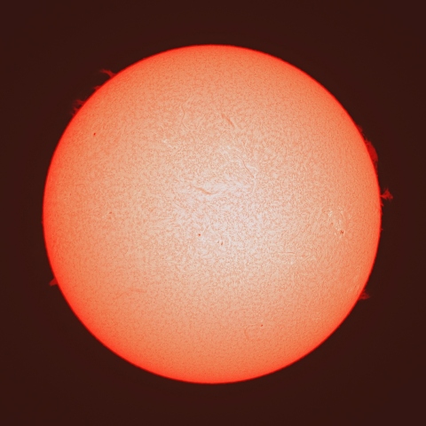 ４月２６日の太陽面（Ｈα像）