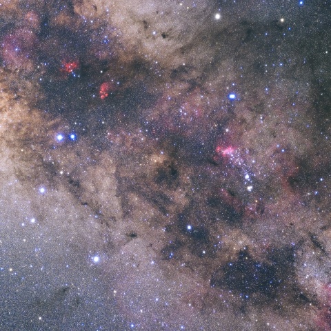 サソリのしっぽ