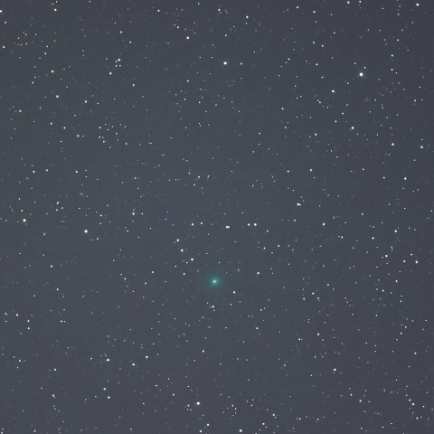 C/2025A6 レモン彗星