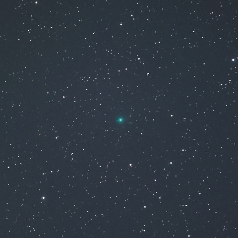 2025A6 レモン彗星