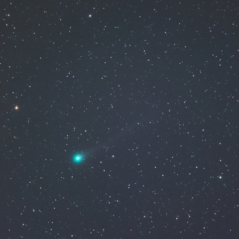 2025A6レモン彗星