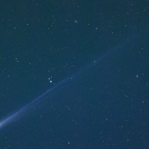 2025A6レモン彗星