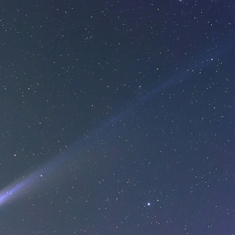 2025A6レモン彗星