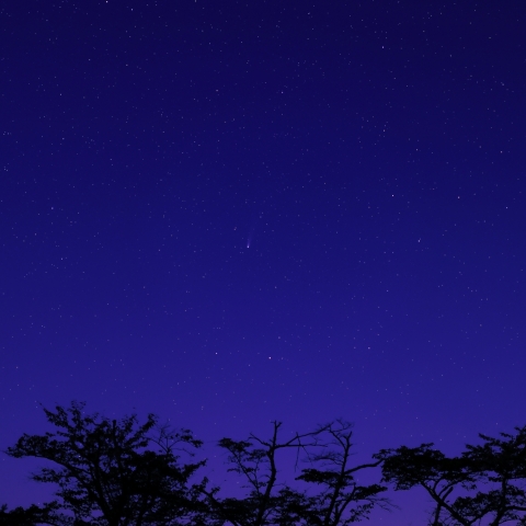 彼方からの来訪者