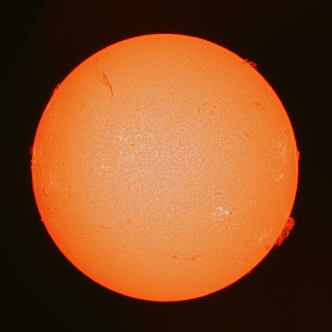 6月13日の太陽面（Ｈα像）