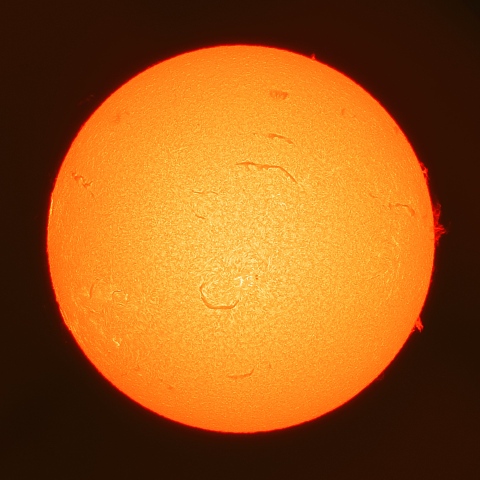 7月19日の太陽面(Hα像)