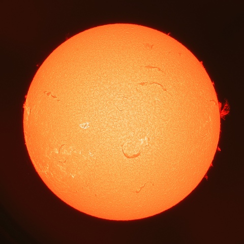 7月20日の太陽面(Hα像)