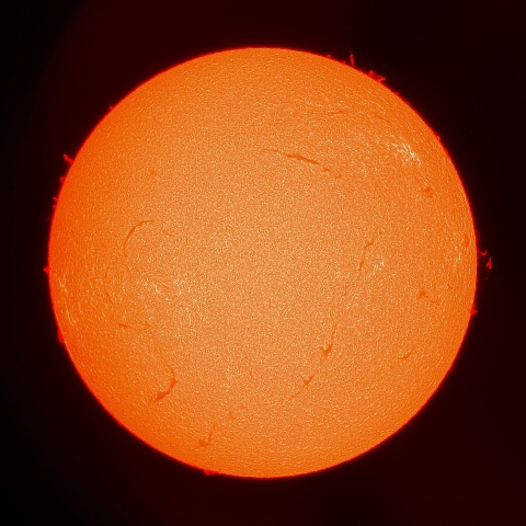 10月1日の太陽面（Ｈα像）