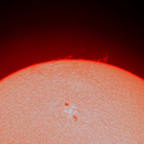 ５月３０日の黒点とプロミネンス