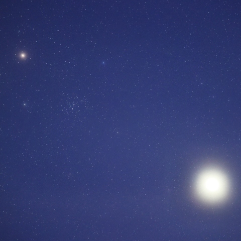 薄明中の火星と金星のプレセペ星団への接近