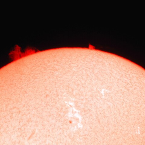 6月24日の黒点とプロミネンス