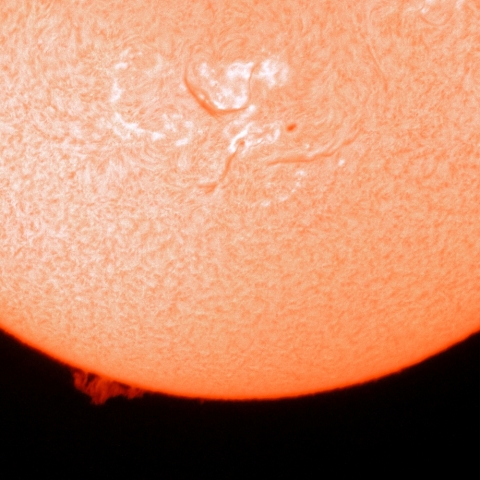 7月6日の太陽面（南半球）