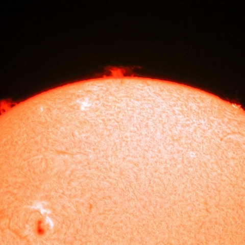 7月11日の黒点とプロミネンス