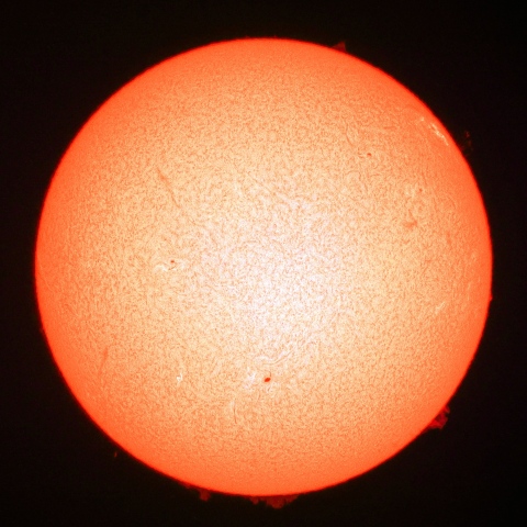 ８月８日の太陽Ｈα像