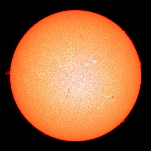 ８月１１日の太陽Ｈα像