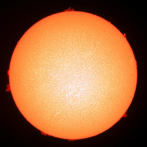 ９月３日の太陽Ｈα像