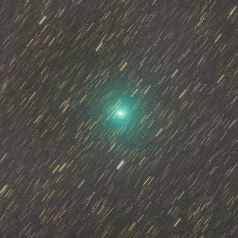 C/2023H2 レモン彗星 2023/11/13
