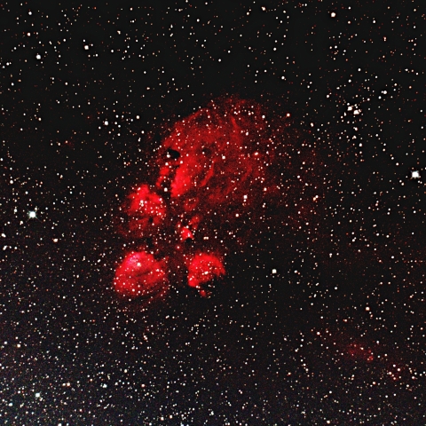 出目金星雲　NGC6334