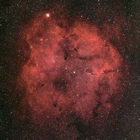 IC1396（Sh2-131）ケフェウス座の散光星雲