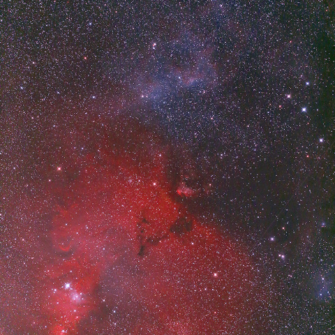NGC2264 クリスマスツリー星団付近