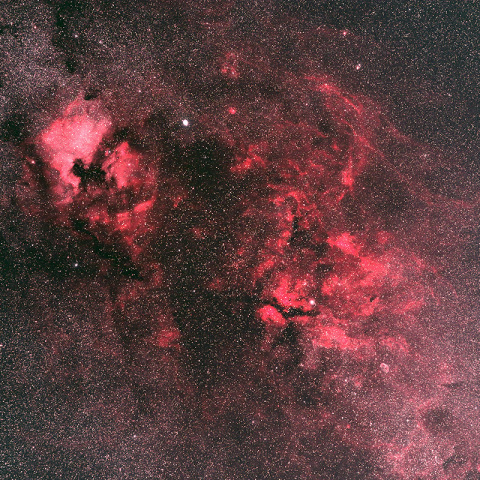 はくちょう座北部（北アメリカ～サドル付近）